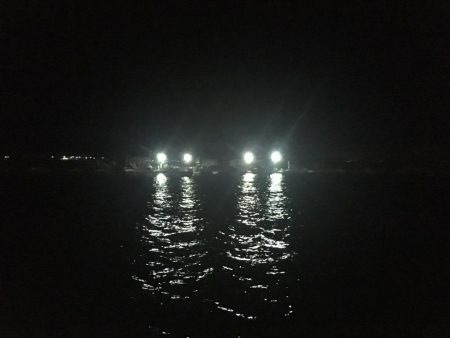 朝のサビキ釣り